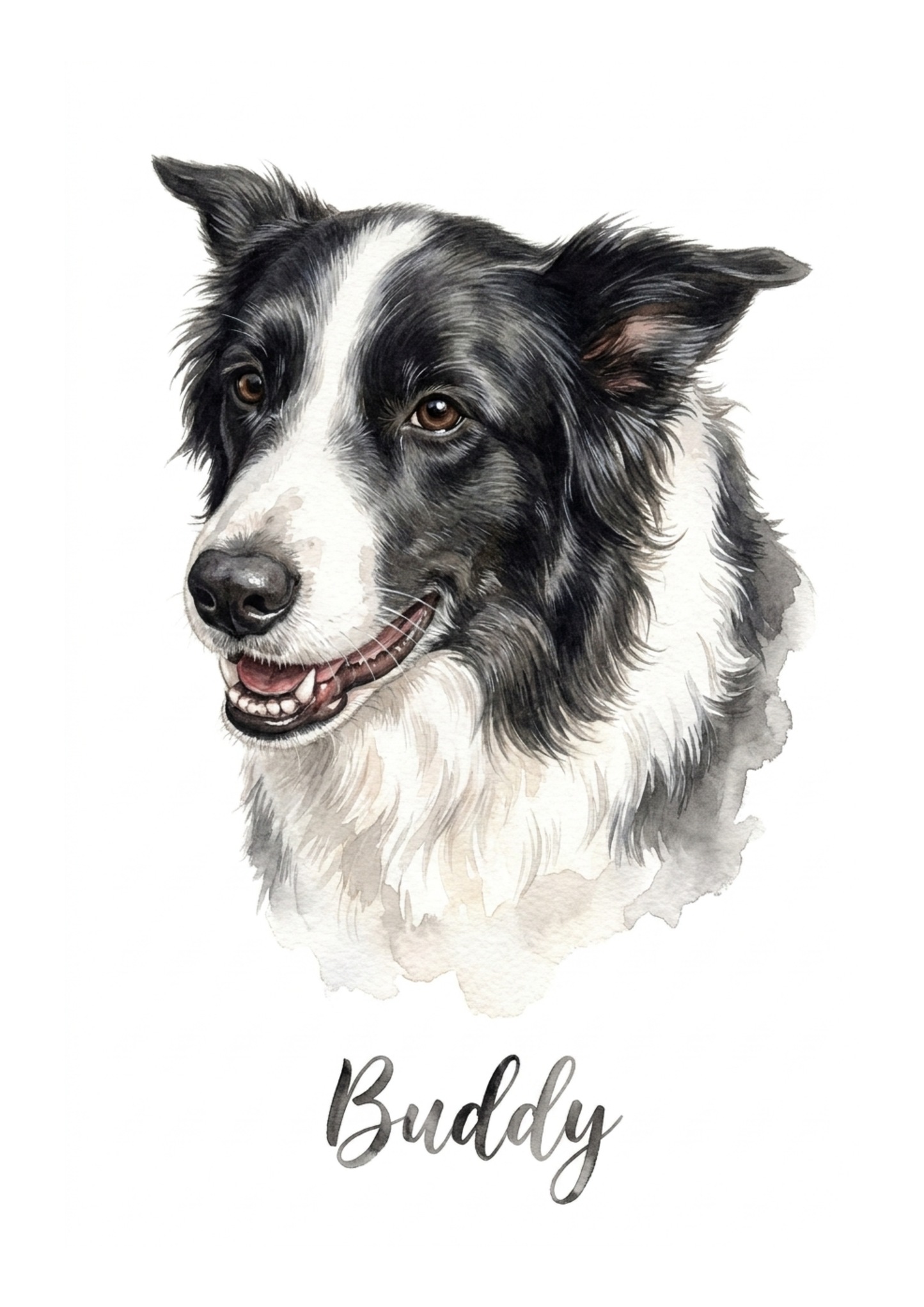 Custom watercolor pet portrait example - a Border Collie named Buddy
