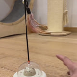 Laser & Feather Cat Teaser, Two Games in One Toy